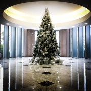commercial-holiday-decor-san-diego-2017-20