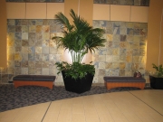 commercial-interior-landscape-2