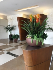 interior-plantscape-plants-for-businesses-san-diego-1