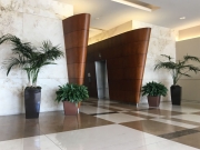 interior-plantscape-plants-for-businesses-san-diego-3