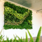 Living-Green-Walls-San-Diego-2019-1