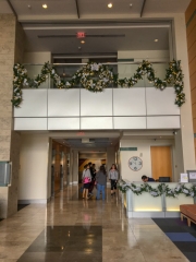 commercial-holiday-decor-san-diego-2017-17