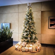 commercial-holiday-decor-san-diego-2017-21