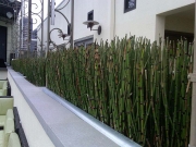 marriott-rooftop-garden-patio