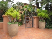 patio-landscaping-san-diego-2