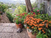 patio_and_color_bowls_072