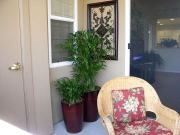 small-patio-landscaping-6