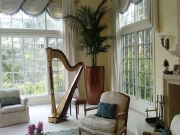 music_room-interior-landscape