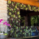 Succulent Living Wall San Diego area