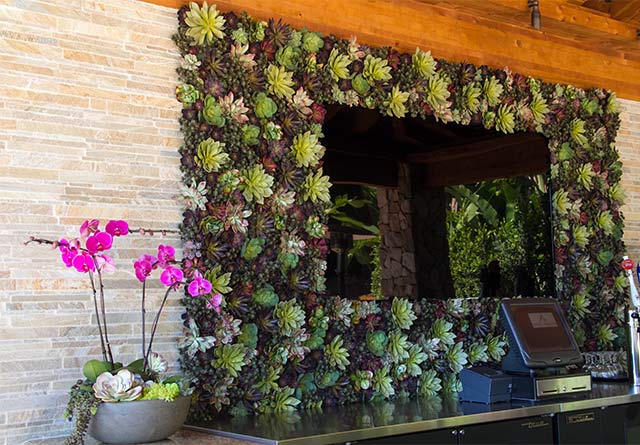 Succulent Living Wall San Diego area