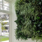 A Living Green Wall in San Diego