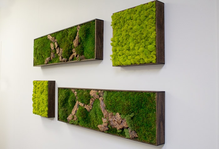 Moss Art – San Diego